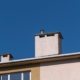 Ground view of a chimney