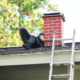Too Late for Tuckpointing? Consider a Stucco Chimney Repair