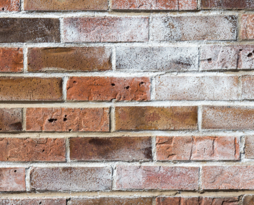 Efflorescence on Brick: What That White Stain Is Really Telling You